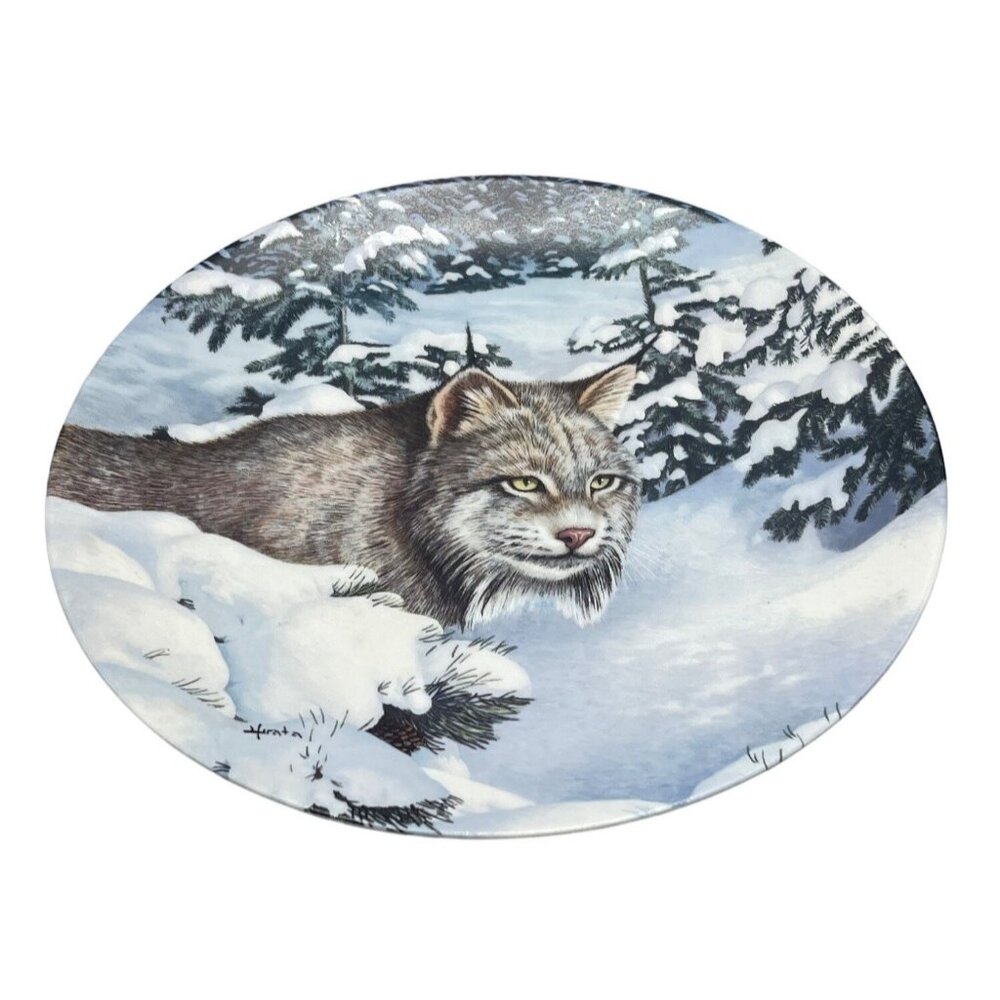 bradex collector plate silent guard 1992 by Hirata 1994A wild spirits 8" READ